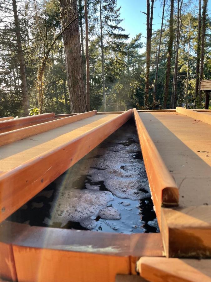 Bain De Foret - Lodges Cosy & Spa Neufchâtel-Hardelot Екстериор снимка