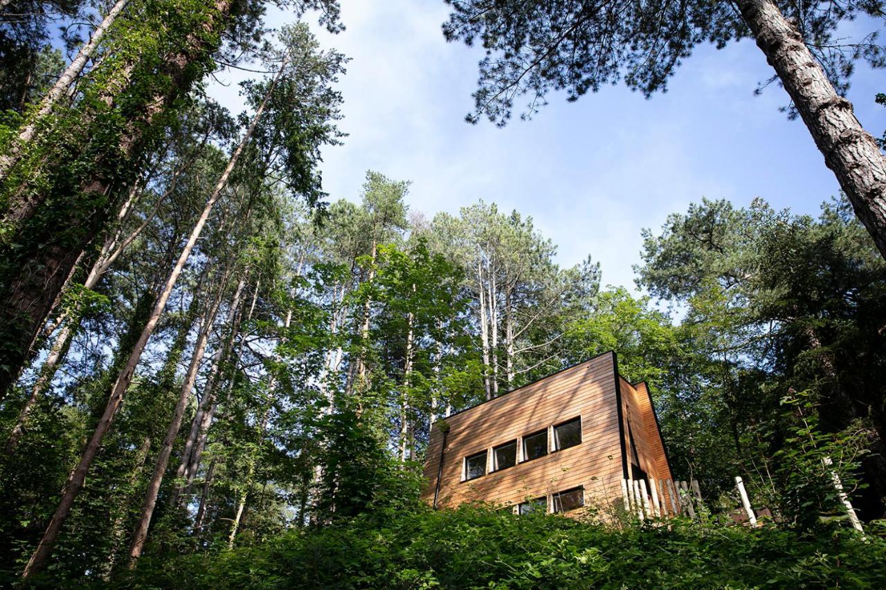 Bain De Foret - Lodges Cosy & Spa Neufchâtel-Hardelot Екстериор снимка